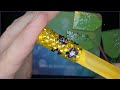 Easy Steps to make a bling pen with honeycomb flower pattern