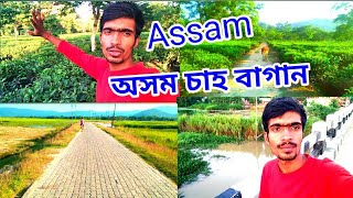 অসম চা বাগান।Assam tea garden @Rohannag94 bangla vlog #villageylifestyle#gitavillvlog#vlogvideo