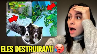 ELES ACABARAM COM NOSSO JARDIM! 😩 | *ficou mais difícil sem o bibi*🍼