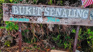 Hiking 2-Bukit Senaling Kuala Pilah level beginner?? -perjalanan mandaki bukit senaling