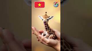 Baby Giraffe Speaks 4 Languages FLUENTLY!