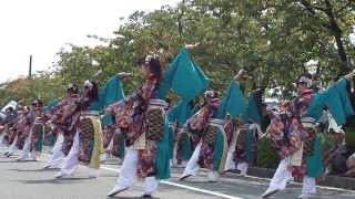 よさこい Funny ODAWARAえっさホイ　祭り