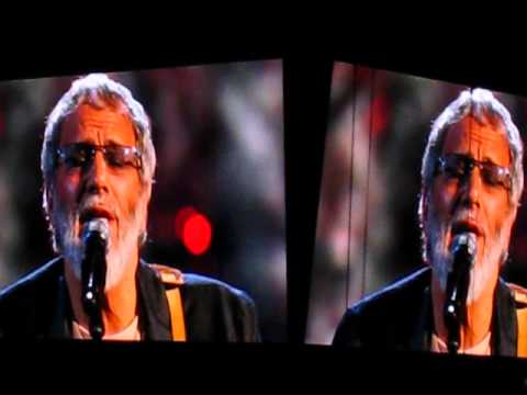 CAT STEVENS (YUSUF ISLAM) -- "WILD WORLD" - YouTube