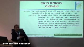 3rd esnt How to retard progression of CKD Prof  hussein Sheashaa