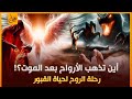 قصة النهاية رحلة الروح إلى السماء وحقيقة عذاب القبر ونعيمه واين تستقر الأرواح بعد الموت؟ حياة البرزخ