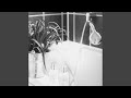 Dream-Like Ambience for Purifying