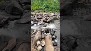 #travel #shortvideo #waterfall #riversidetours #riversidevlog #narangathod #calicut