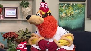 Isotopes opening day