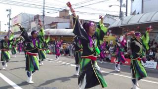 安芸東陣　高知よさこい2016升形2日目