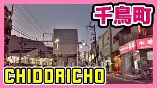 4K Tokyo Cityscape Chidori-Cho Night Walk 東京 千鳥町 夜景 商店街 散歩 DjiPocket2