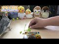 【オカメインコ雄♂】※ネズミの玩具をオカメインコ ゾロに見せたらdnaに刻まれた本能を見た！【08日後に】留守番が多くなるオカメインコ