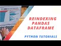 How to Reindex dataframe in Python | Python Tutorial: Reindexing DataFrames