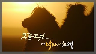 KBS 걸작 다큐멘터리 (몽골고원 2편 - 낙타의 노래) #Mongolian Plat #camel