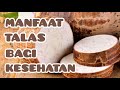 MANFAAT TALAS / KELADI BAGI KESEHATAN || HEALTH BENEFITS OF TARO