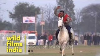 Horse riding competition in slow motion - Rural Olympics