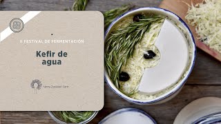 Taller kefir de agua