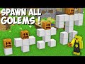 Why Did I Spawn All The Rarest Iron Golems In Minecraft ! New Iron Golem !