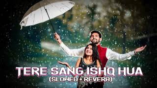 Tere Sang Ishq Hua (Slowed + Reverb) | Yodha | Arijit Singh, Neeti Mohan |