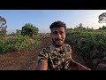 wild elephant u0026 tiger attack place😱 my first vlog new year avatarshivaofficial avatarshivavlogs