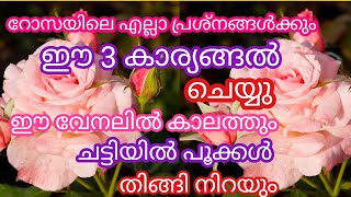 ചട്ടിയിൽ പൂക്കൾ തിങ്ങി നിറയാൻ #ഈ 3 കാര്യങ്ങൽ ചെയ്യ്#Healthy Leaves,Fast Flowering,fast growing