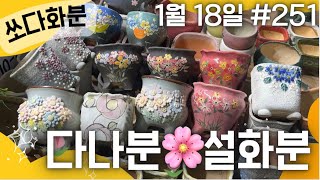 251차 화분판매   #쏘다화분🪴 1월 18일 |  예쁜 다육이 화분 | #다육이화분 수제 국산 #화분  #다육화분 분갈이 창분 사각분 콩분 신상