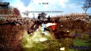 Vindictus S3 Autumn Reed Bed Wood Elf Captain Duplicating Ragdolls