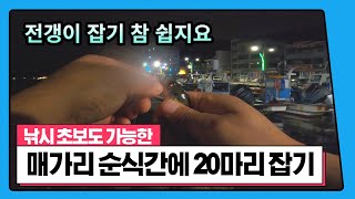 ep 58. 4K 낚시 초보도 순식간에 20마리 잡기 Catch 20 falcons that anyone can do