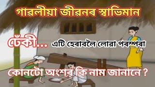 Dheki (ঢেঁকী) ৰ বিষয়ে জানো আহা #short