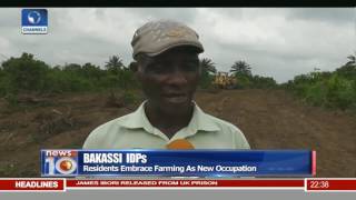 Bakasi IDPs Embrace Farming As New Occupation