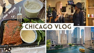 Chicago Vlog to see Karyn Calabrese (40 Year Raw Vegan!)