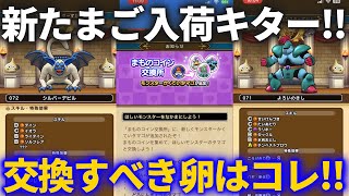 【ドラクエウォーク】新たまご入荷キター！！これから割るべきモンスターのたまごはコレだ！！【モンスターグランプリ】