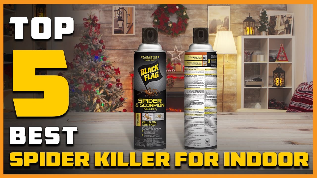 Top 5 Best Spider Killers For Indoor Review 2025 Spider Spray