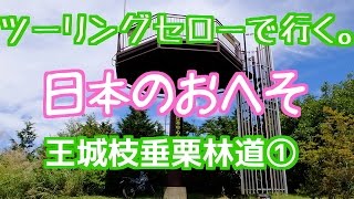 ツーリングセローで行く。長野県・王城枝垂栗林道①