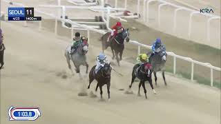 (Seoul) 2023.04.23 R11 Class 1 (1400M) Handicap