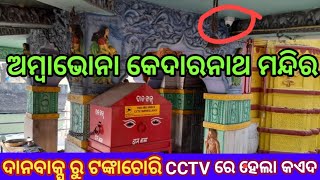 ଅମ୍ବାଭୋନା କେଦାରନାଥ ମନ୍ଦିର ଦାନ ବାକ୍ସ ରୁ ଟଙ୍କାଚୋରି କରି ll CCTV କ୍ୟାମରା ରେ ଧରାପଡ଼ିଲା ଅଭିଯୁକ୍ତ