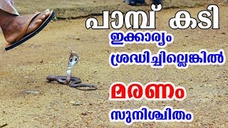 പാമ്പ് കടി ഏറ്റാല്‍ ഇക്കാര്യം ശ്രദ്ധിച്ചില്ലെങ്കില്‍ മരണം/Malayalam Health Tips