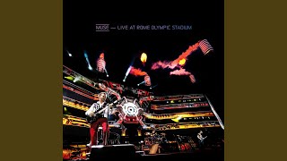 Animals (Live at Rome Olympic Stadium)