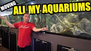 ALL MY AQUARIUMS AND FISH - HOW I WILL MOVE THEM! The king of DIY