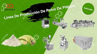 Línea De Producción De Polvo De Plátano