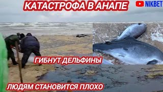 ‼️КАТАСТРОФА В АНАПЕ. ИТОГИ ДНЯ 23 ДЕКАБРЯ