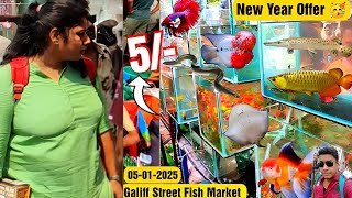 Recent Aquarium Fish Price Update | Galiff street Fish Market | Galiff Street new video 5th Jan 2025