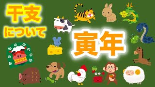 🔮寅年・年末特別企画🔮12干支について・性格・長所・短所・12干支✖️12干支相性診断⭐️概要欄みてね💕