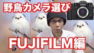 野鳥撮影の機材／富士フィルムから野鳥カメラとレンズを選んでみたよ