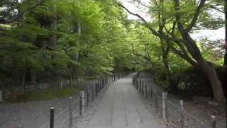 2011年春の京都に行ってきた(13)【終】