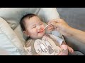 【生後6ヶ月】離乳食でかぼちゃをおいしそうに食べる赤ちゃん