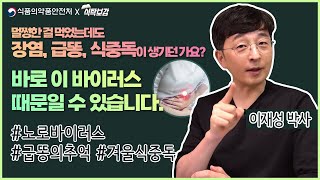 노로바이러스 장염의 증상 및 7가지 예방수칙