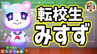 【あつ森#86】新住民みすずちゃんがやってきた❤あつまれどうぶつの森❤ゆっきーGAMEわーるど❤AnimalCrossingNewHorizons