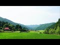 no.30 山間の田園風景・盛夏 （山口県 山口市 阿東） 詩 タイムラプス by april cyclist