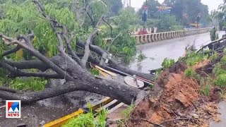 മരം വീണ് ഗതാഗതക്കുരുക്ക്; അഞ്ചുകിലോമീറ്ററോളം നീളത്തില്‍ ഗതാഗതം നിശ്ചലം|Aluva