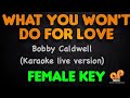 WHAT YOU WON'T DO FOR LOVE - Bobby Caldwell (FEMALE KEY KARAOKE VERSION)